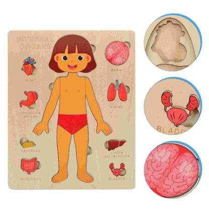 Ensemble de jeu d'anatomie Montessori pour les tout-petits, puzzle du corps humain, apprentissage alth, parties du corps humain, jouets de modules d'anatomie